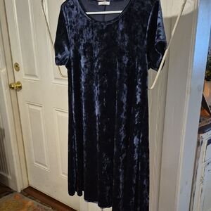 Z Supply Midnight Velvet Dress